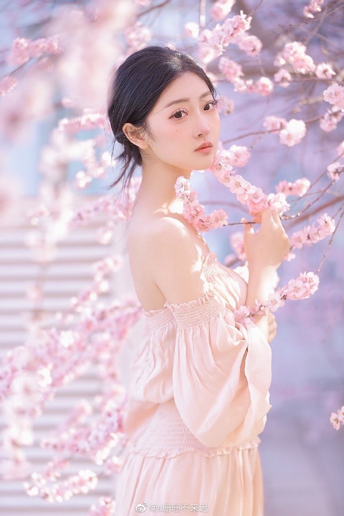孤胆义侠 封面