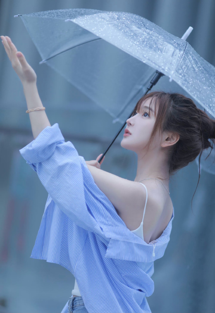 秘密森林2 封面