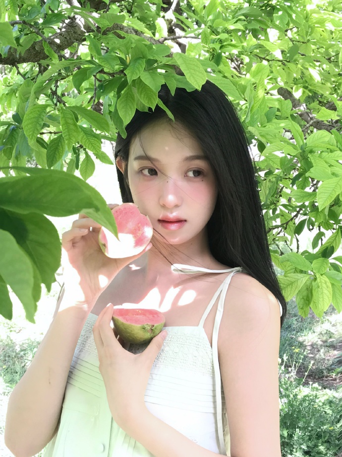 苍兰诀 封面