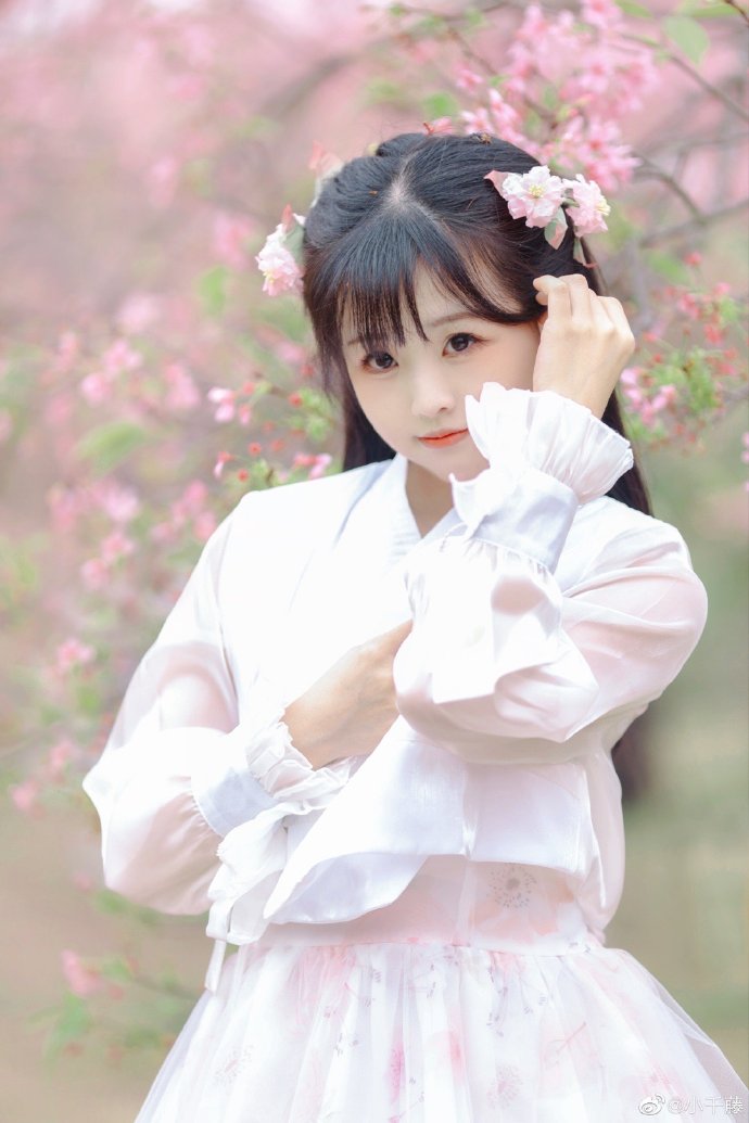 扫黑风暴 封面